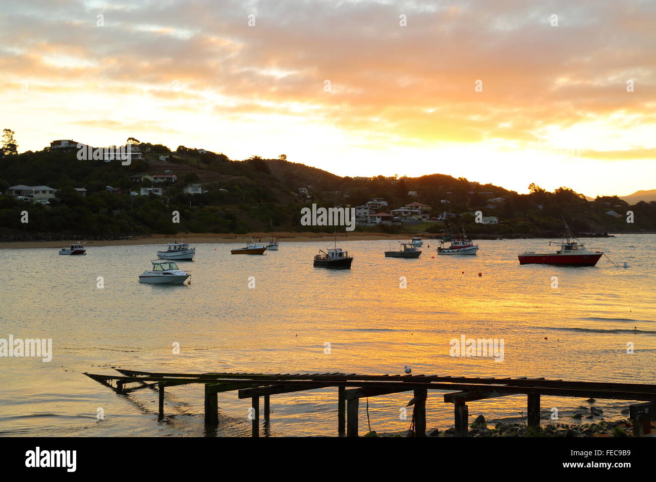 Barche da pesca a riposo nella baia di Moeraki durante il tramonto a Moeraki in Otago, Nuova Zelanda. Foto Stock