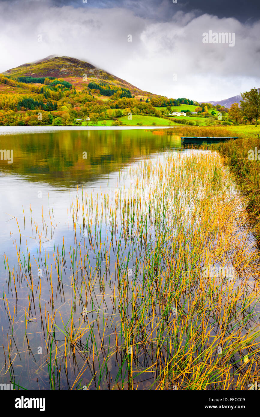 Loweswater e basso è sceso nel Parco Nazionale del Distretto dei Laghi, Cumbria, Inghilterra Foto Stock