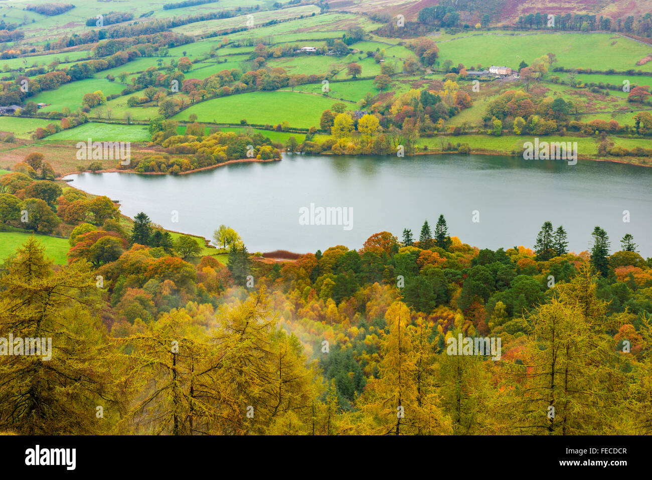 Vista su Loweswater e Holme legno nel Parco Nazionale del Distretto dei Laghi, Cumbria, Inghilterra Foto Stock