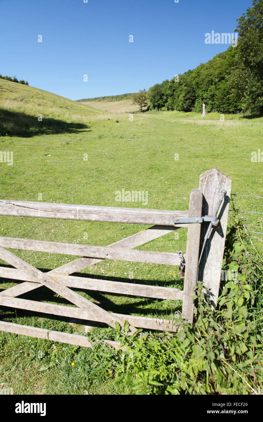 Gate leading nel Sussex Downs, Arundel, West Sussex, in Inghilterra Foto Stock