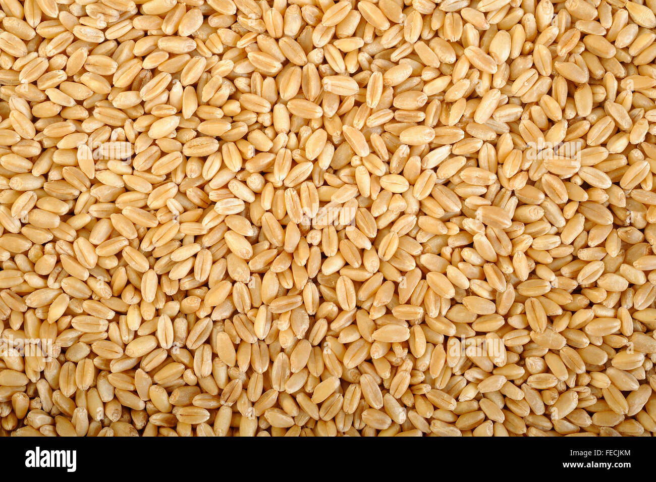 Pearl chicchi d'orzo sfondo Foto Stock