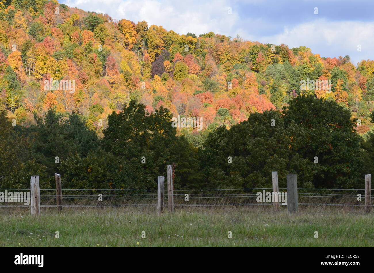 Una scena di caduta con le montagne sullo sfondo e la recinzione in primo piano con pini tra Foto Stock