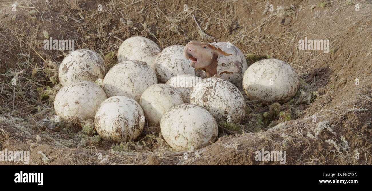 WALKING WITH DINOSAURS (2011) Barry COOK (DIR) NEIL NIGHTINGALE (DIR) RACCOLTA MOVIESTORE LTD Foto Stock