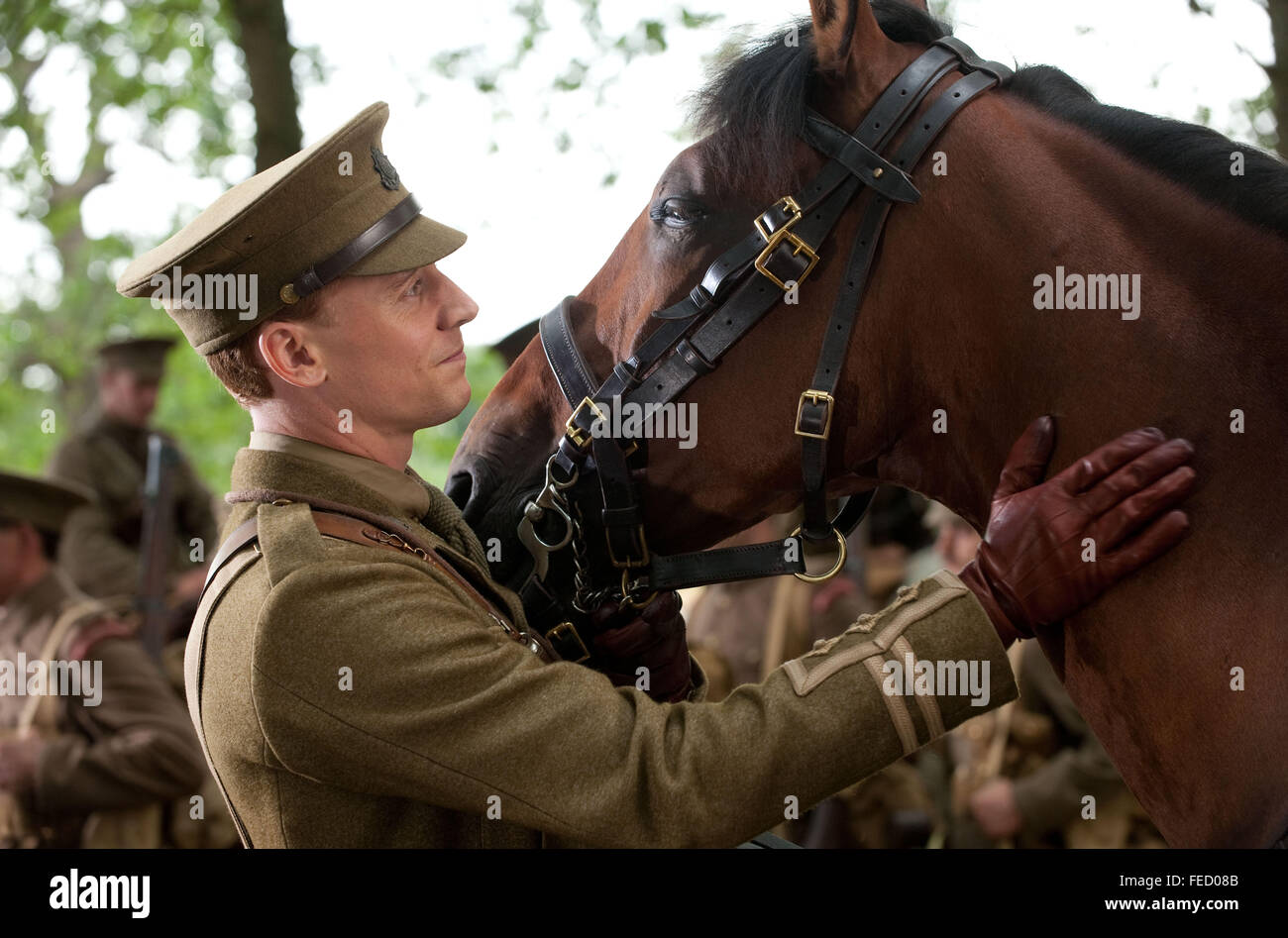 WAR HORSE (2011) di TOM HIDDLESTON Steven Spielberg (DIR) RACCOLTA MOVIESTORE LTD Foto Stock
