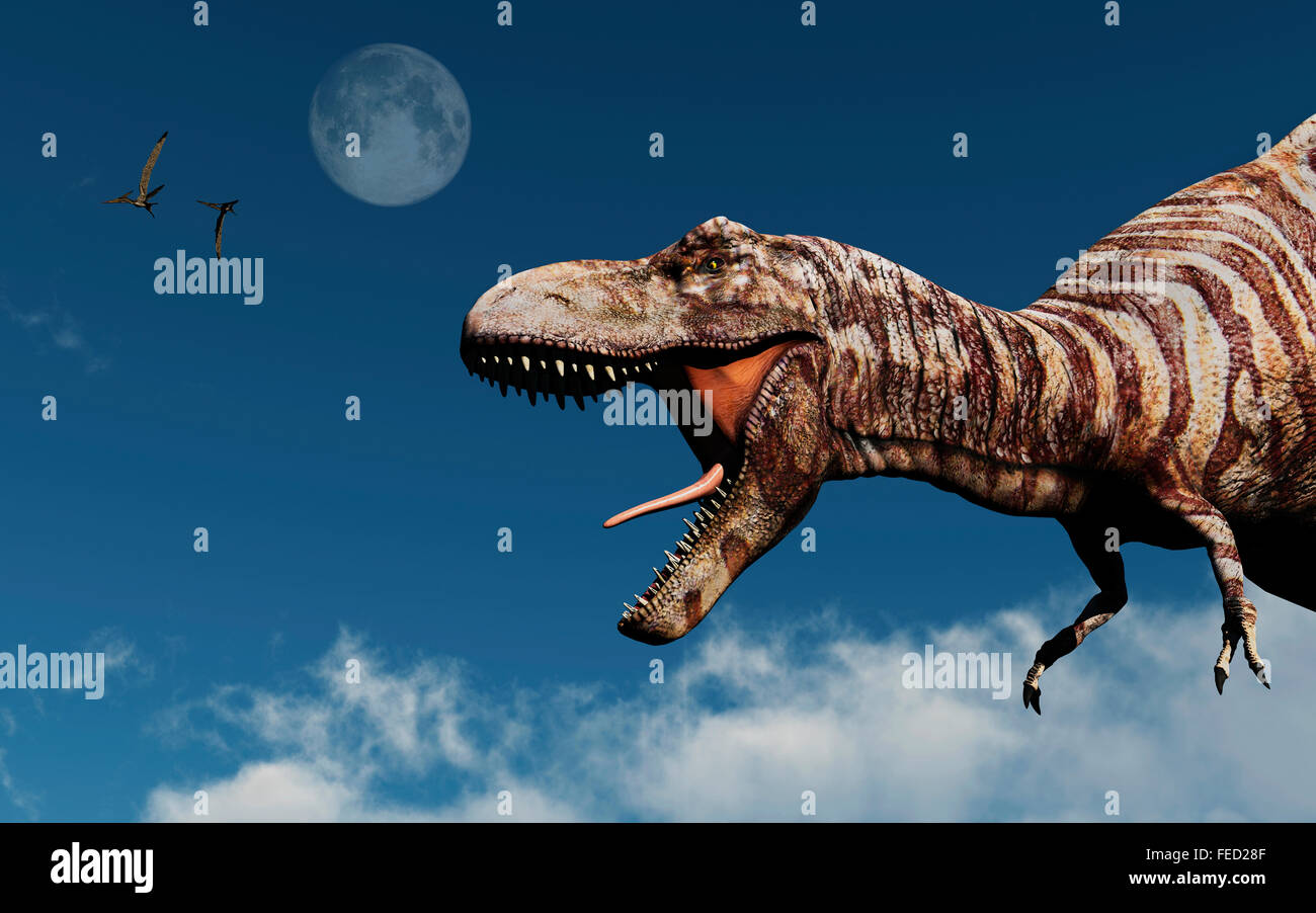 Profilo di un T.REX. Foto Stock