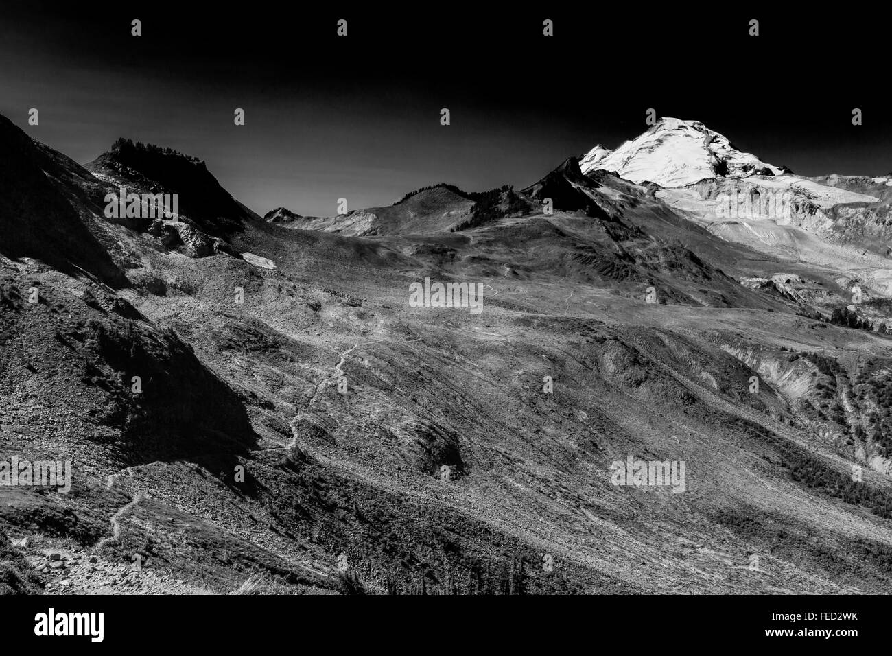 La Ptarmigan Ridge Trail con Mount Baker nella distanza, il Monte Baker-Snoqualmie foresta nazionale, nello Stato di Washington, USA Foto Stock