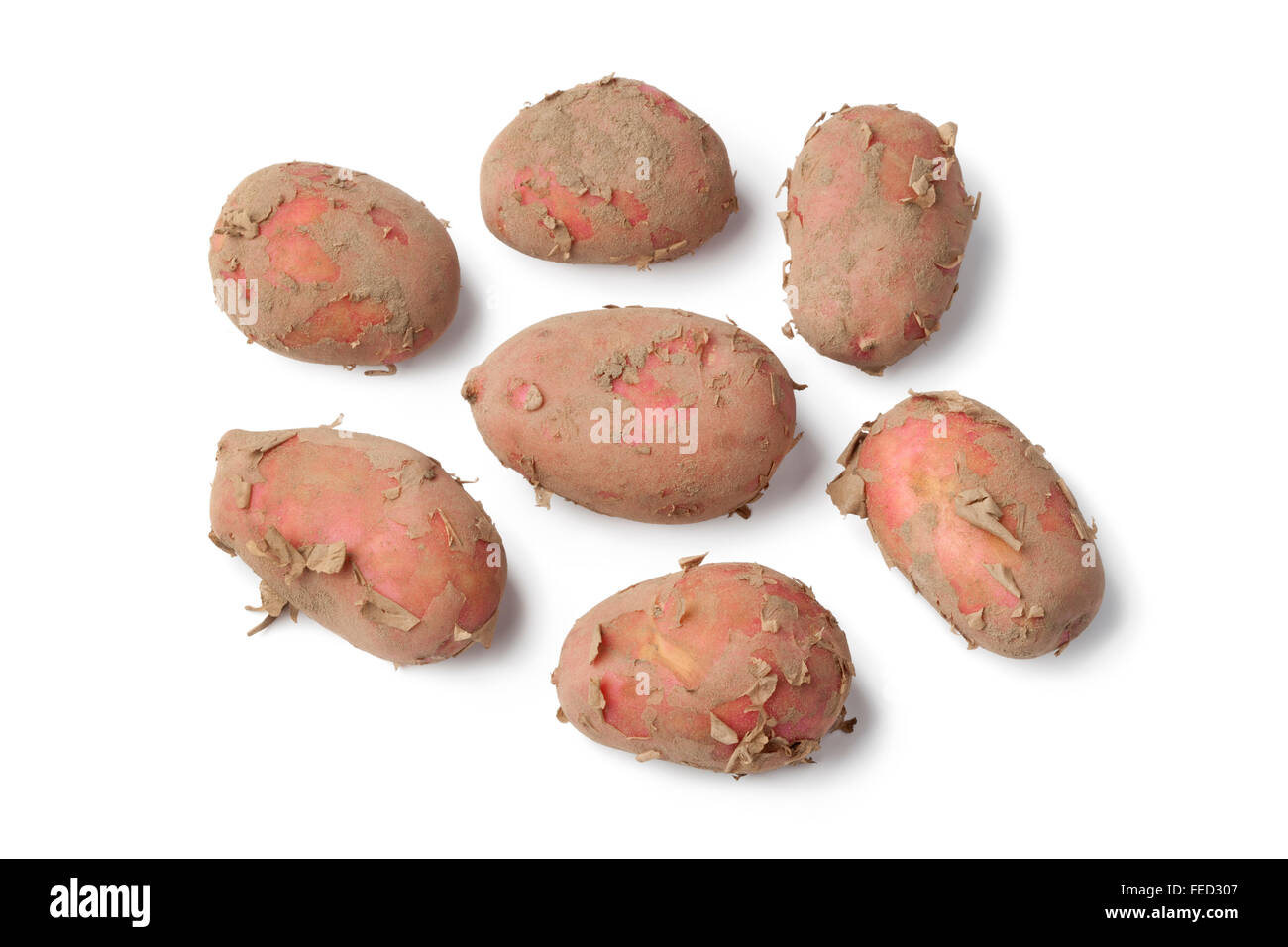 Rosso fresco Raya patate su sfondo bianco Foto Stock