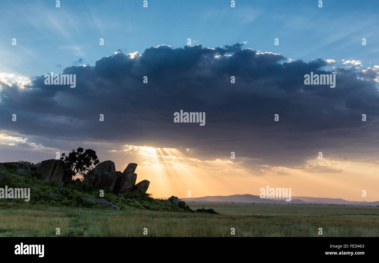 Il tramonto del Masai Kopjes Tanzanias nel Parco Nazionale del Serengeti Foto Stock