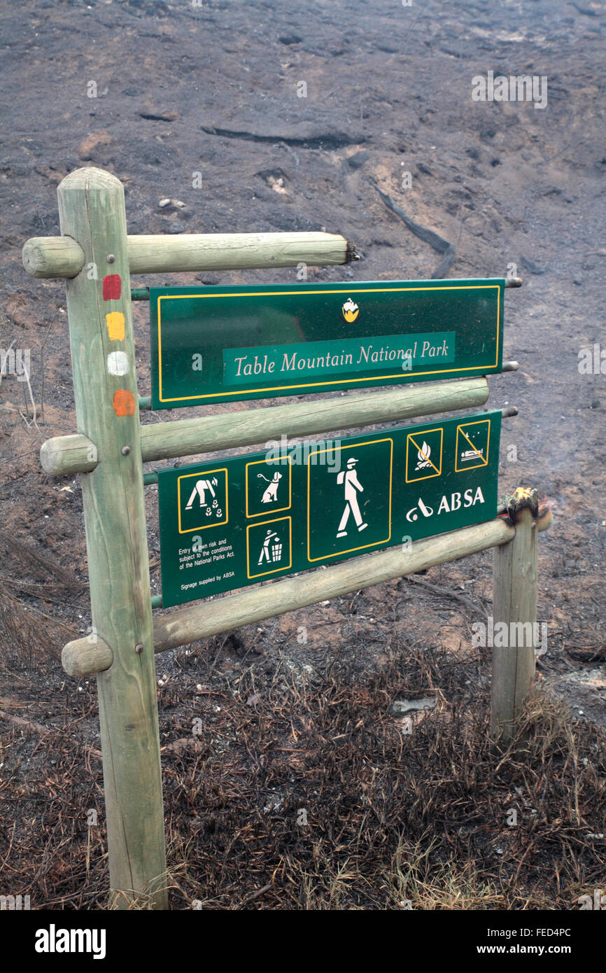 La masterizzazione di firmare durante il fuoco, Table Mountain National Park, Sud Africa Foto Stock