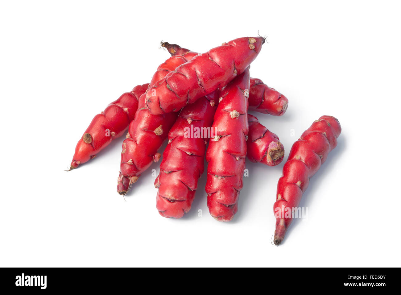Rosso fresco Nuova Zelanda fili su sfondo bianco Foto Stock