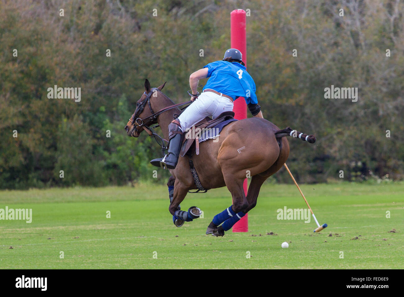 Partita di polo a Sarasota Polo Club a Lakewood Ranch in Sarasota Florida Foto Stock