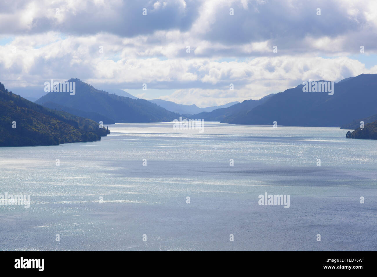 Lo stretto di Cook tra il nord e il sud della isola della Nuova Zelanda Foto Stock