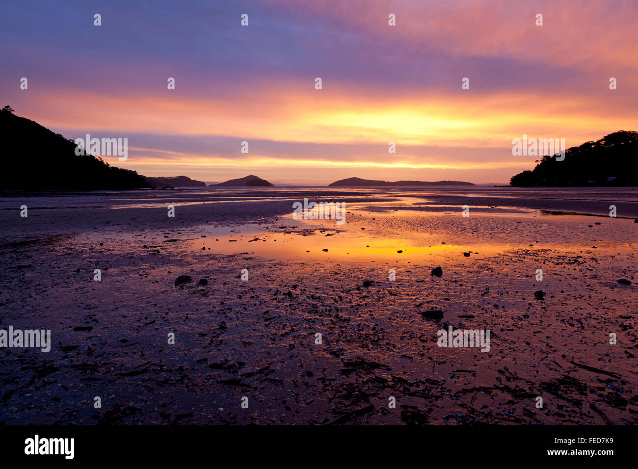 Tramonto sulla spiaggia di Shelly a Coromandel Nuova Zelanda Foto Stock