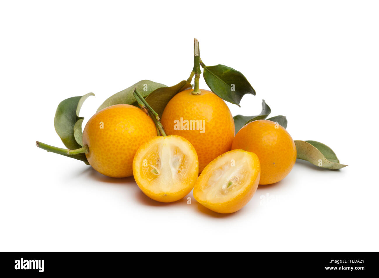 Freschi a mezzo giro e tutto il kumquat su sfondo bianco Foto Stock