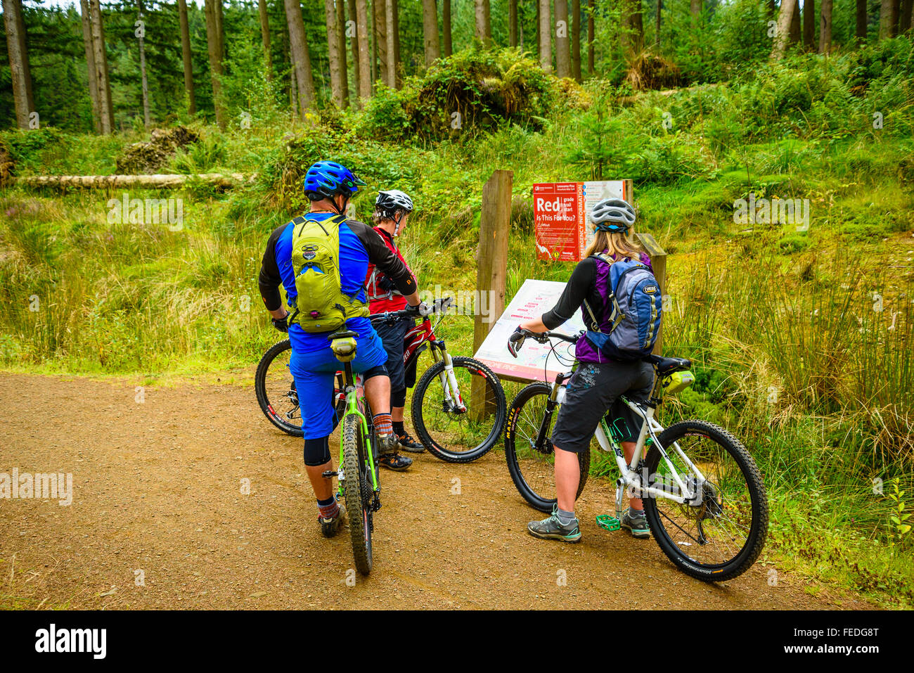 Gli amanti della mountain bike all'avvio di Lonesome Pine Trail in Kielder Forest Park e Parco nazionale di Northumberland Foto Stock