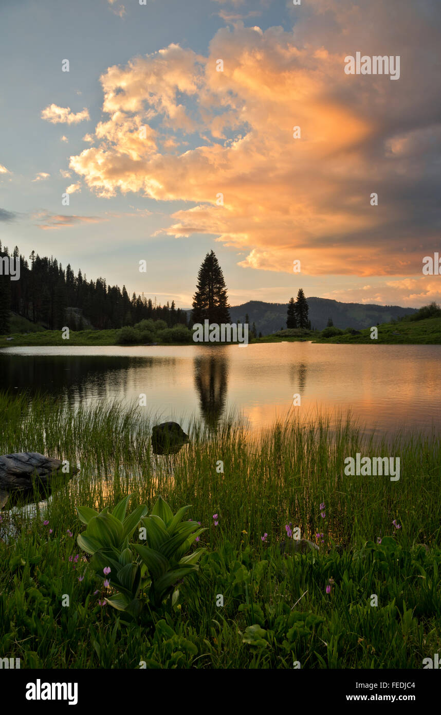 CALIFORNIA - Tramonto sulla padella lago nel cielo alto bacino dei laghi di montagna di marmo area selvaggia di Klamath National Forest. Foto Stock