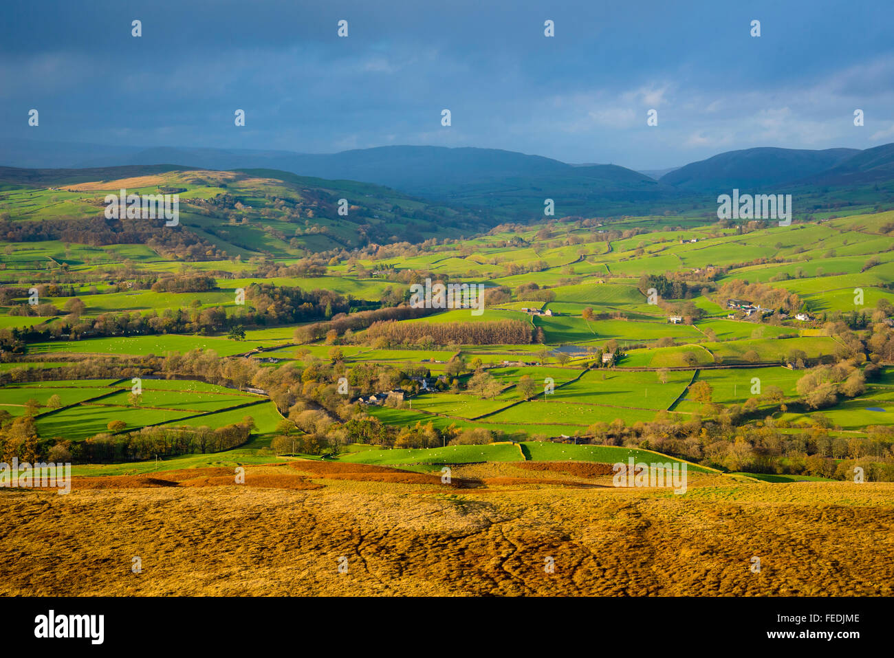 La Lune valley da Holme Knott su Middleton cadde Cumbria. Il fiume Rawthey si unisce a partire da destra. Foto Stock