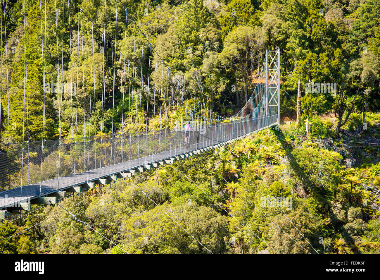 Mountain Biker attraversando il Maramataha sospensione ponte sul sentiero di legname in Pureora Forest Park Isola del nord della Nuova Zelanda Foto Stock