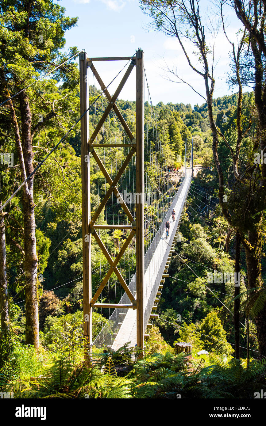 Gli amanti della mountain bike che attraversa il Maramataha sospensione ponte sul sentiero di legname in Pureora Forest Park Isola del nord della Nuova Zelanda Foto Stock