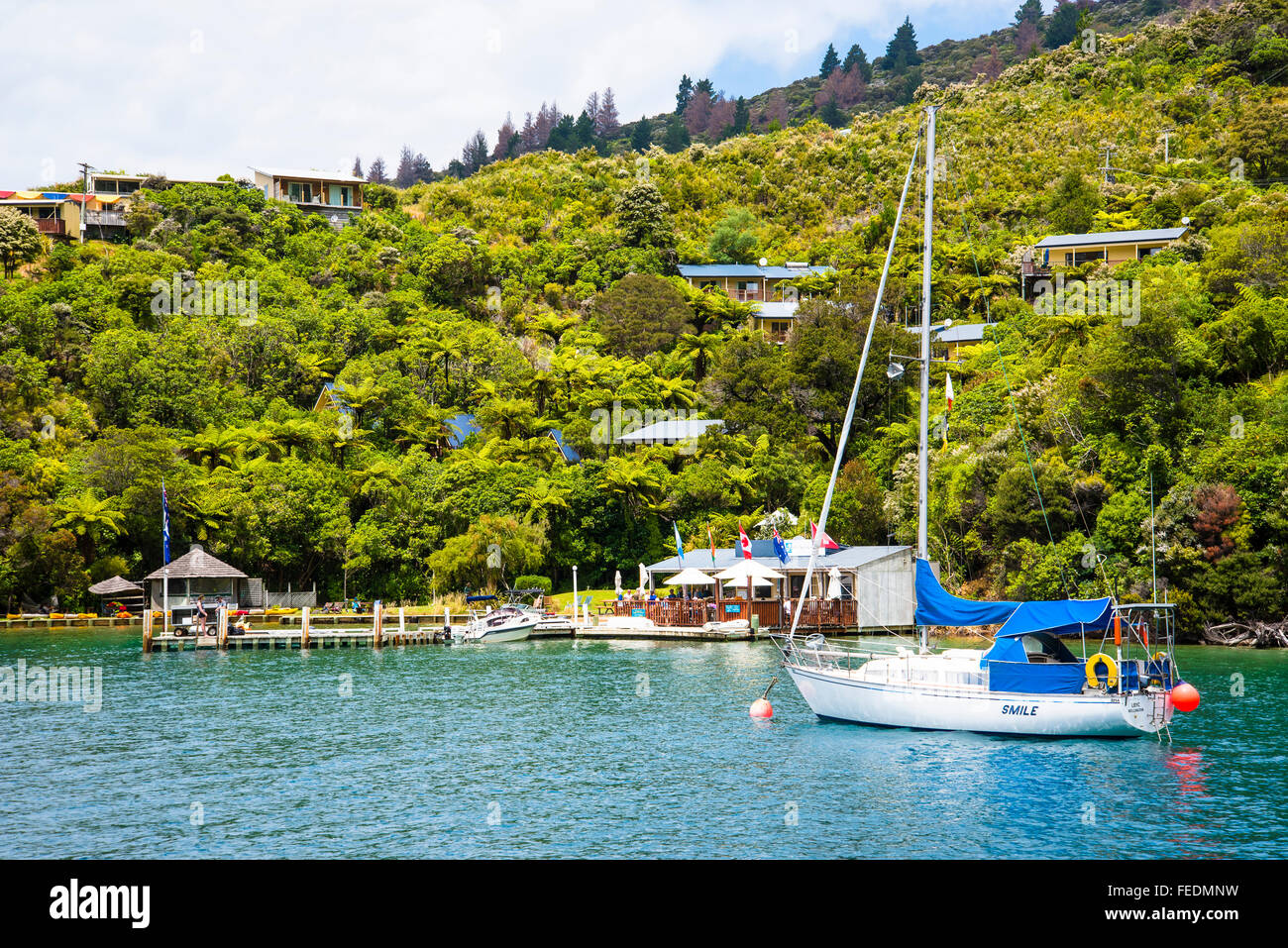 Barche a Punga Cove adoperano ingresso Marlborough Sounds Nuova Zelanda Foto Stock