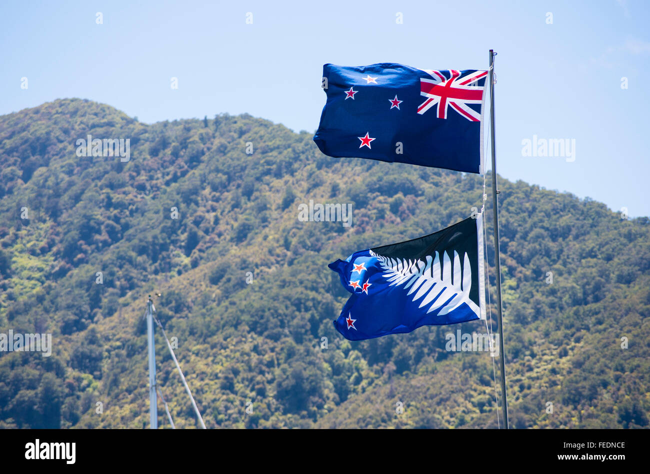 Modelli alternativi per la bandiera della Nuova Zelanda fotografati a Punga Cove adoperano ingresso Marlborough Sounds Nuova Zelanda Foto Stock