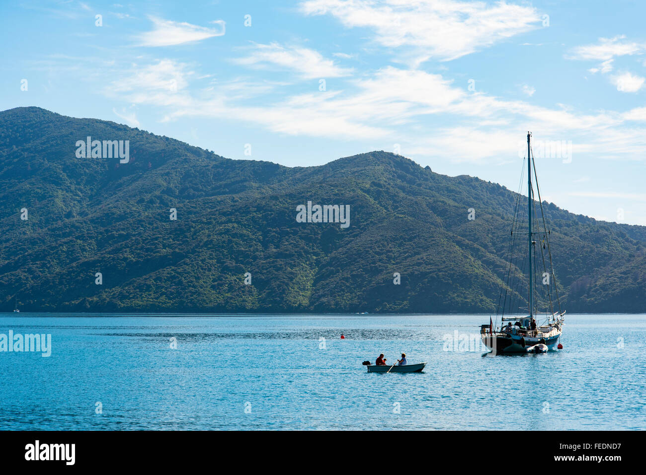 Gommoni e yacht a Punga Cove adoperano ingresso Marlborough Sounds Nuova Zelanda Foto Stock