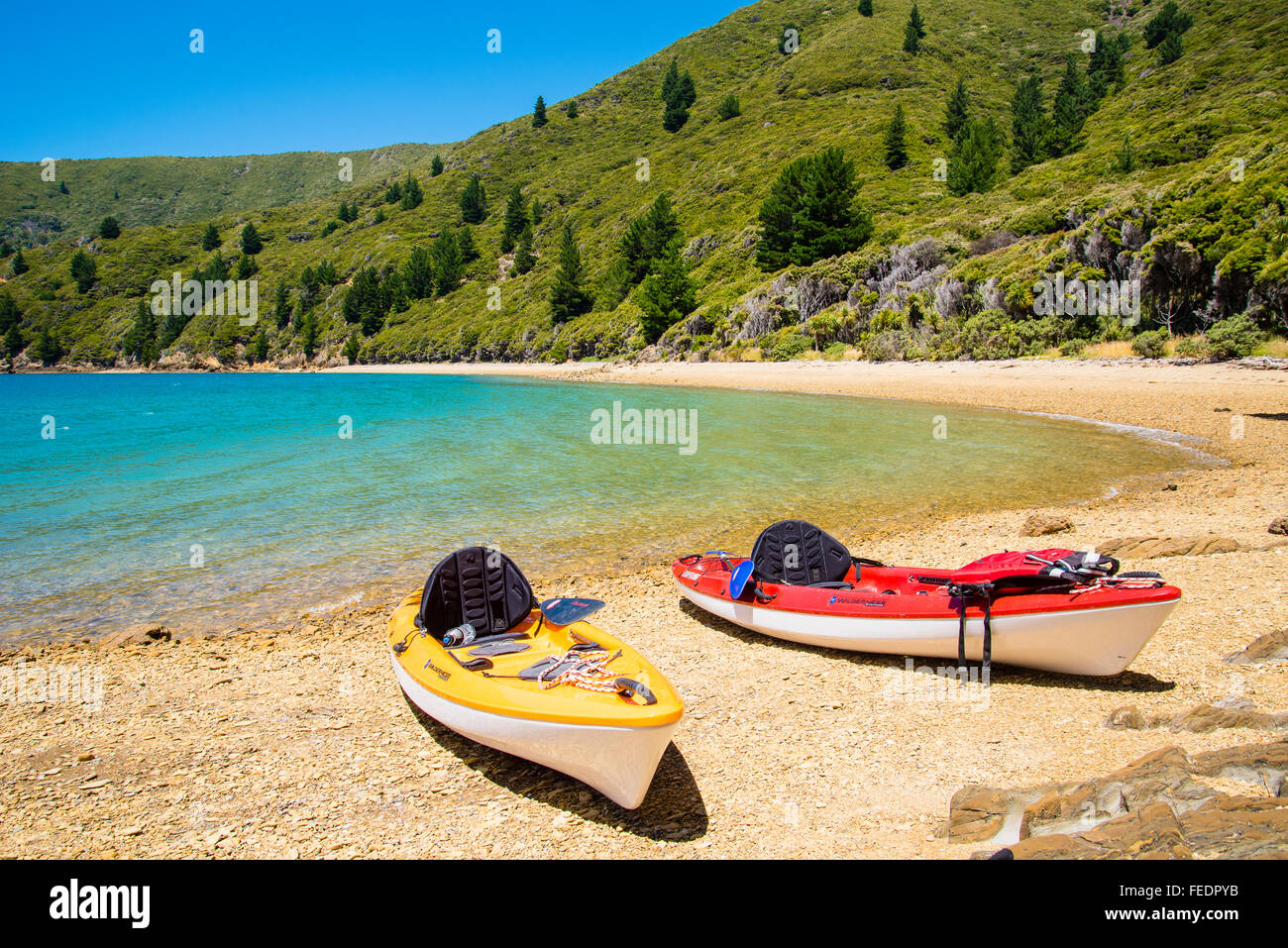 Canoe sulla spiaggia Ketu Bay Pelorus Sound Marlborough Sounds Isola del Sud della Nuova Zelanda Foto Stock