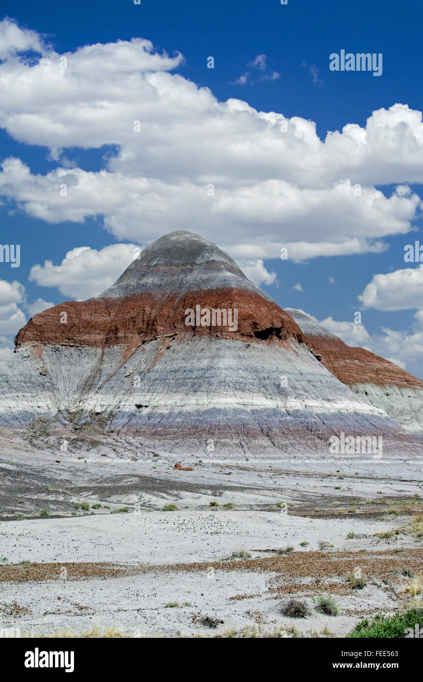 Il Tepees o coni, colorate a forma di cono formazioni di roccia nel deserto dipinto e il Parco Nazionale della Foresta Pietrificata, Arizona, Stati Uniti d'America Foto Stock