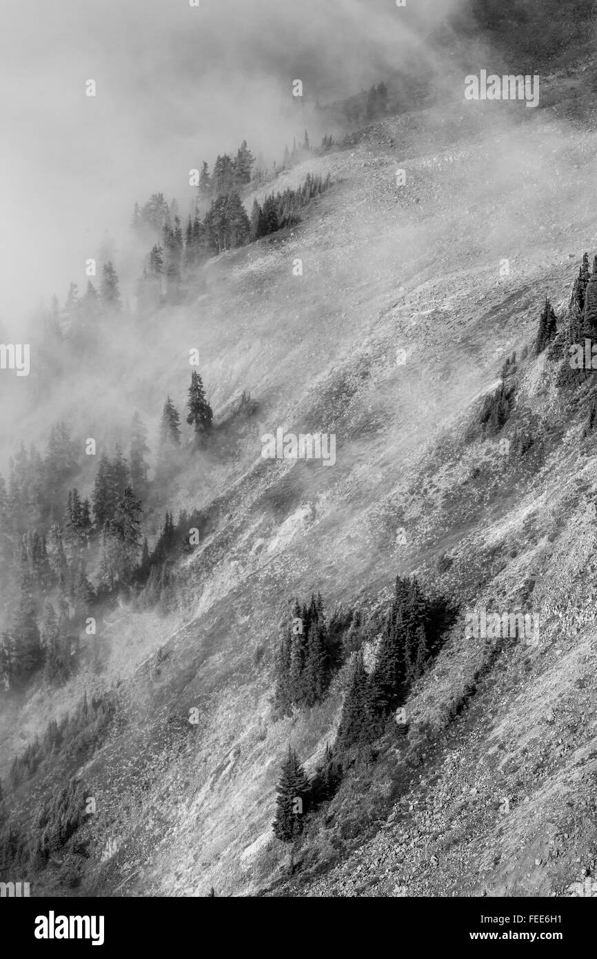 Wispy nuvole passare oltre la montagna, visto dal Ptarmigan Ridge in Mount Baker-Snoqualmie Foresta Nazionale, Washington, Stati Uniti d'America Foto Stock