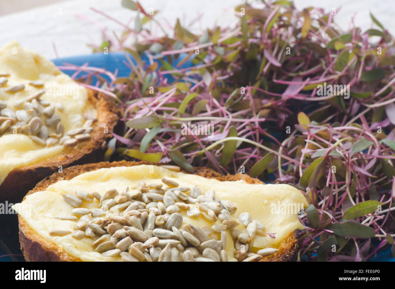 Toast con formaggio e semi di girasole su piastra Foto Stock