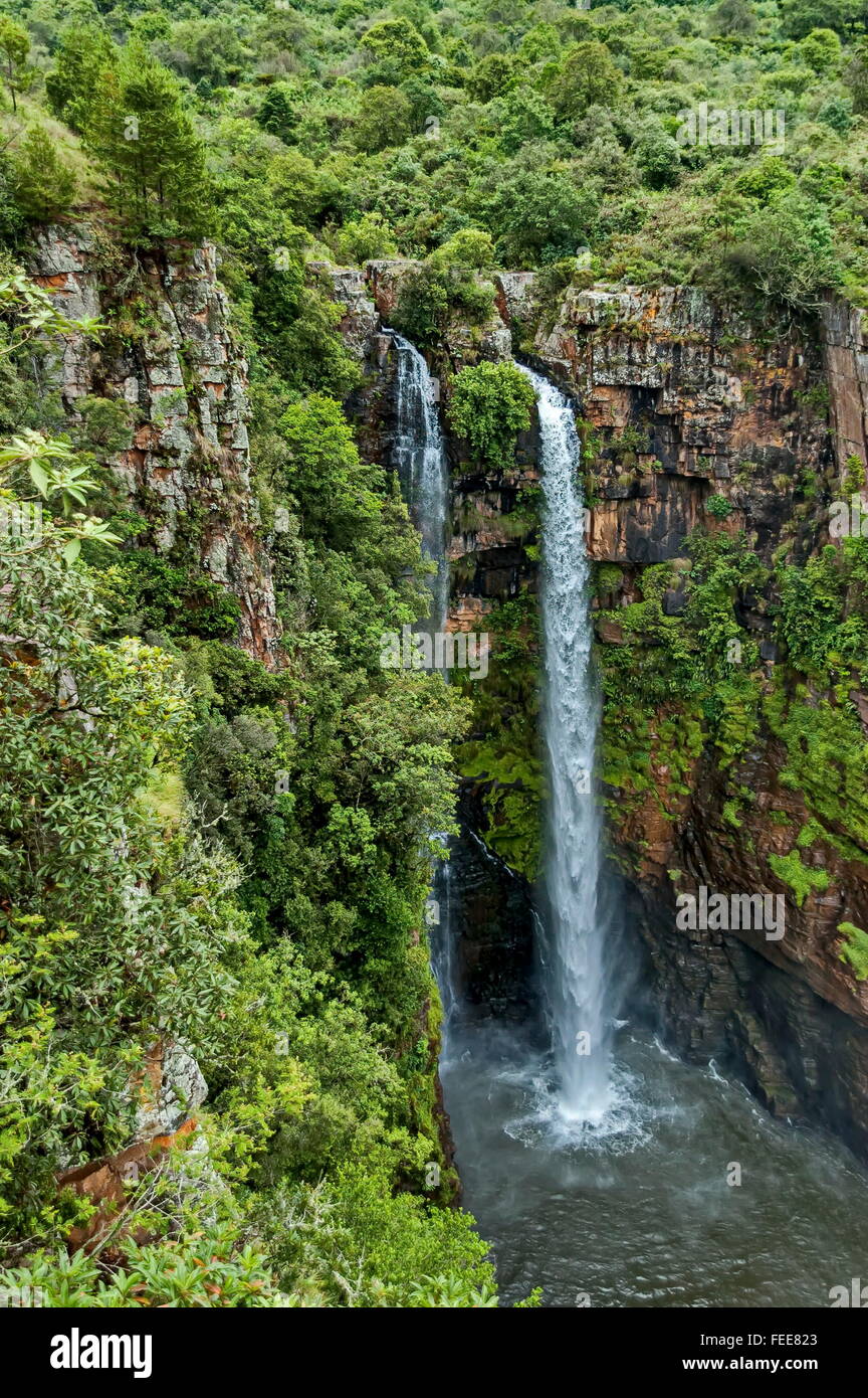 Mac Mac cascata, Mpumalanga, Fiume Blyde area, Sabie, Sud Africa Foto Stock