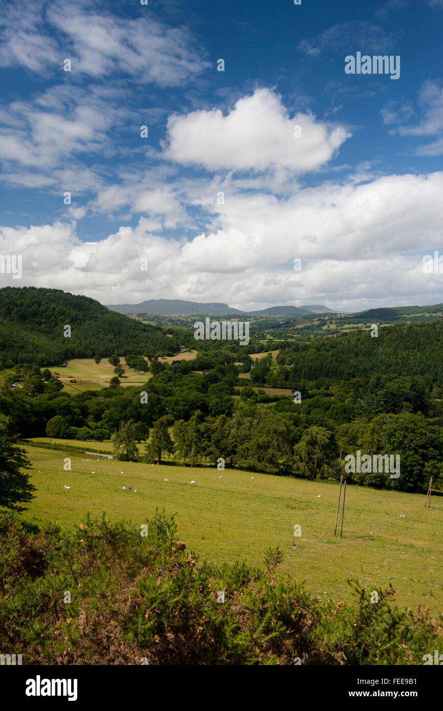 Vale of Edeyrnion Dee valley guardando verso Bala vicino a Corwen Denbighshire North Wales UK Foto Stock