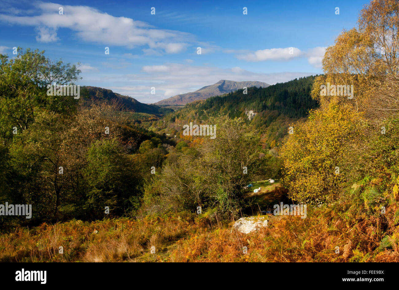 Lledr valley in autunno guardando verso Moel Siabod vicino a Betws-y-Coed Snowdonia National Park Conwy County North Wales UK Foto Stock