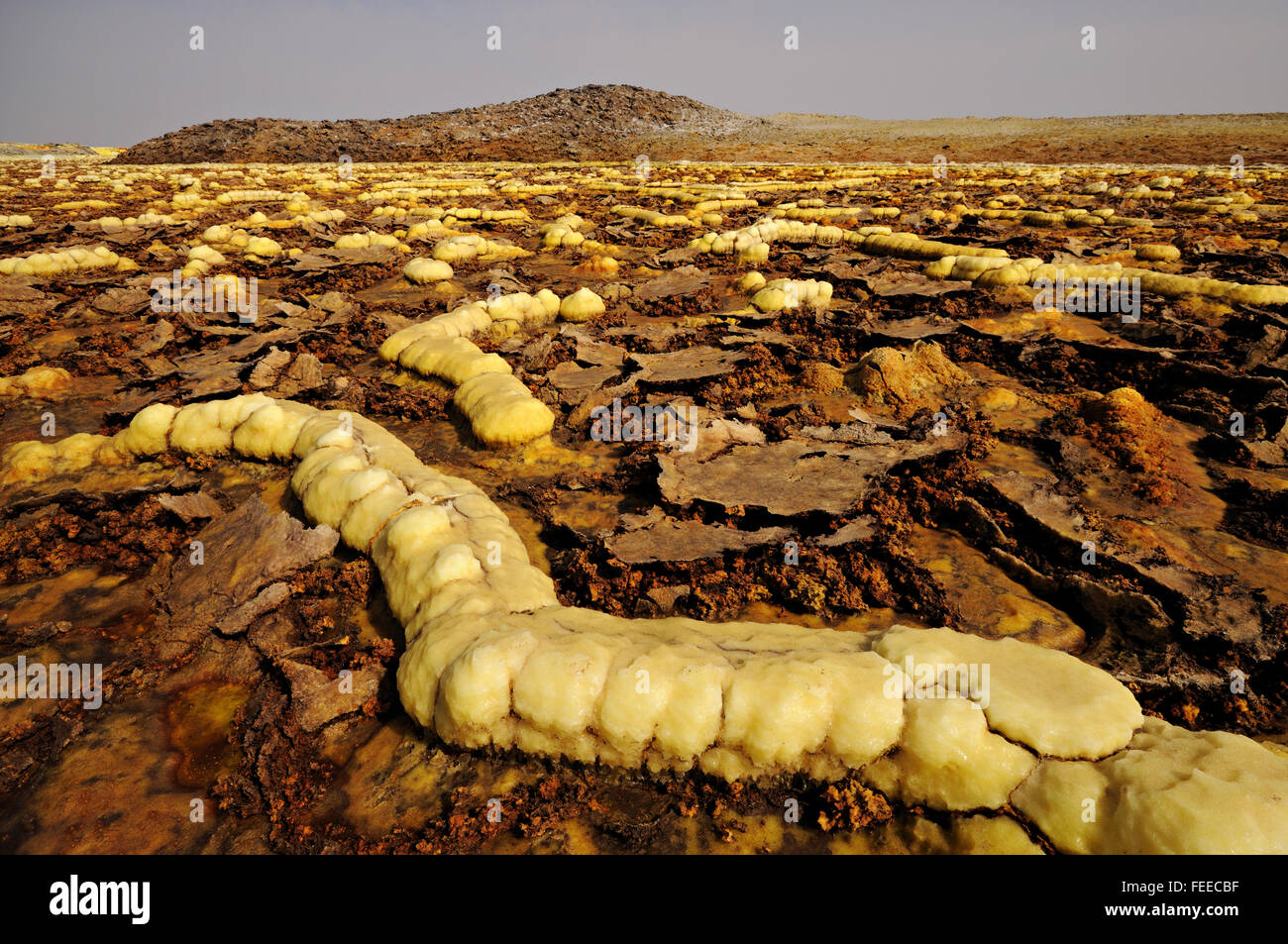 Strano concrezioni minerali sul vulcano Dallol, Danakil depressione, regione di Afar, Etiopia Foto Stock