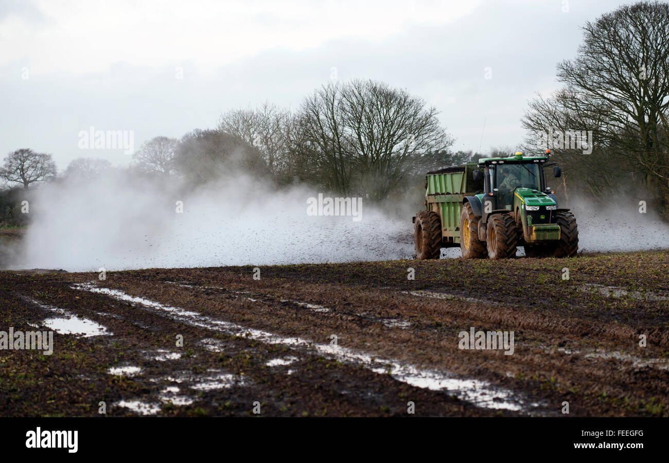Muck spandimento su una farm di seminativi, a Alderton, Suffolk, Regno Unito. Foto Stock
