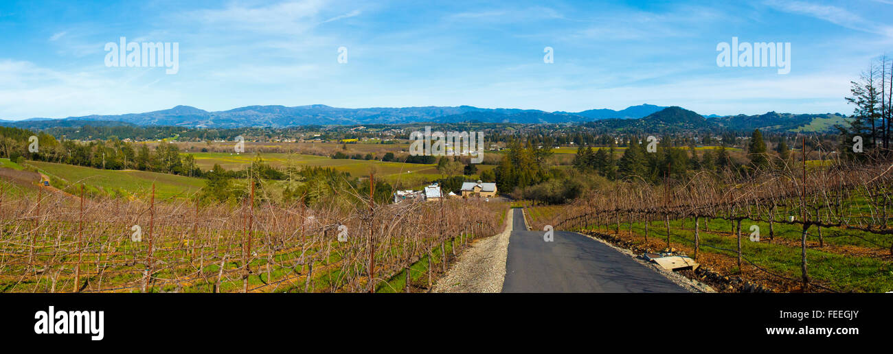 Vista panoramica di Healdsburg, CA USA Foto Stock