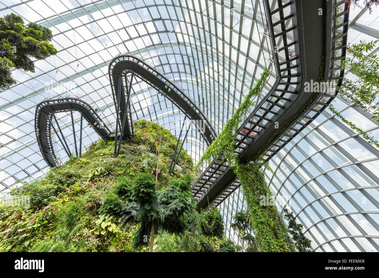 Cloud Forest in Singapore Foto Stock