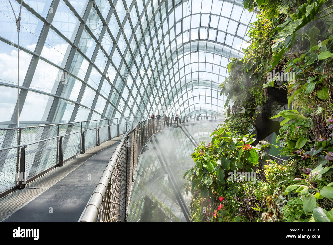 Cloud Forest in Singapore Foto Stock