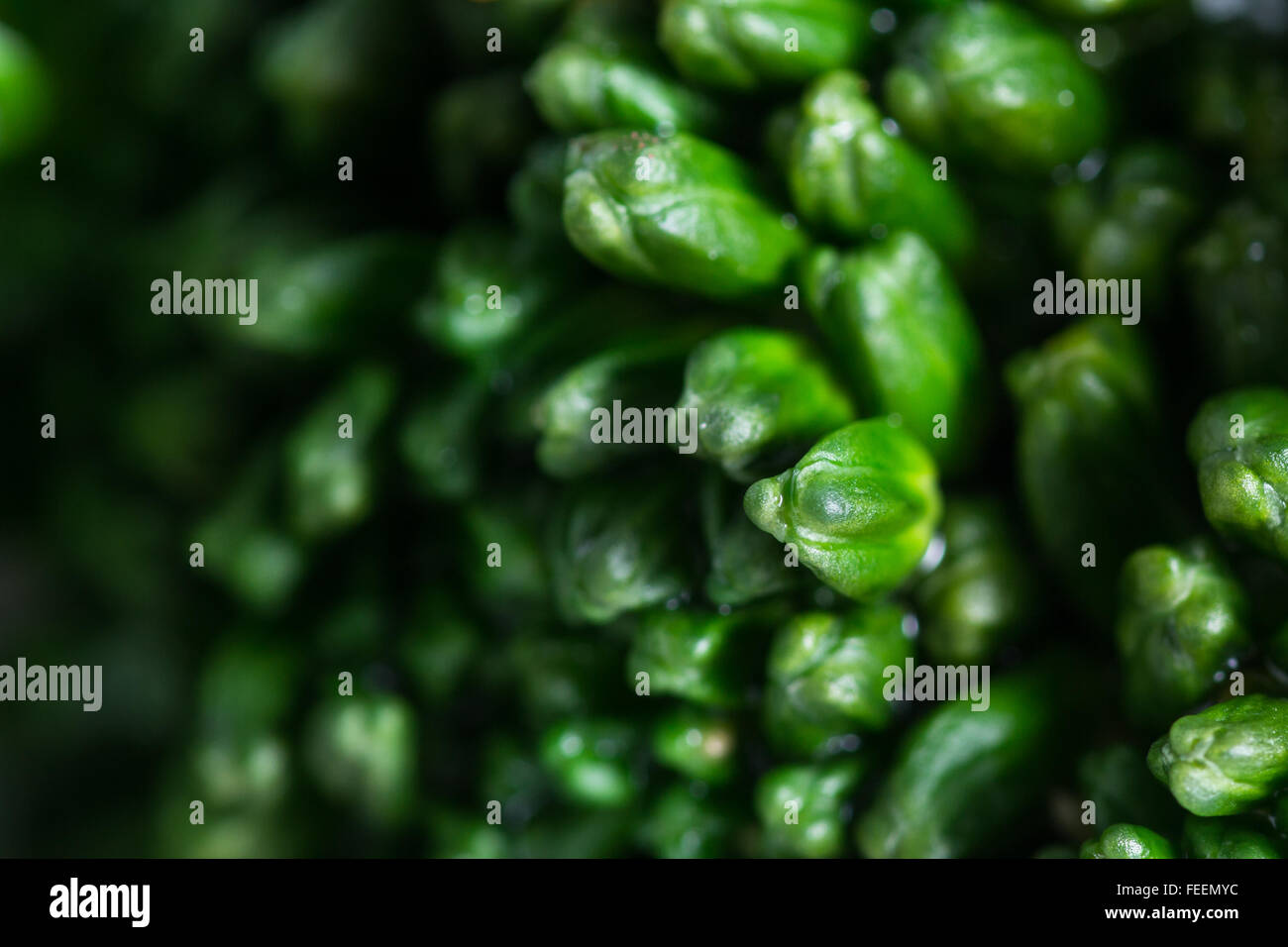 Close up di dettaglio di ciascuna flotta in questo organico broccolini con condimenti colorati Foto Stock