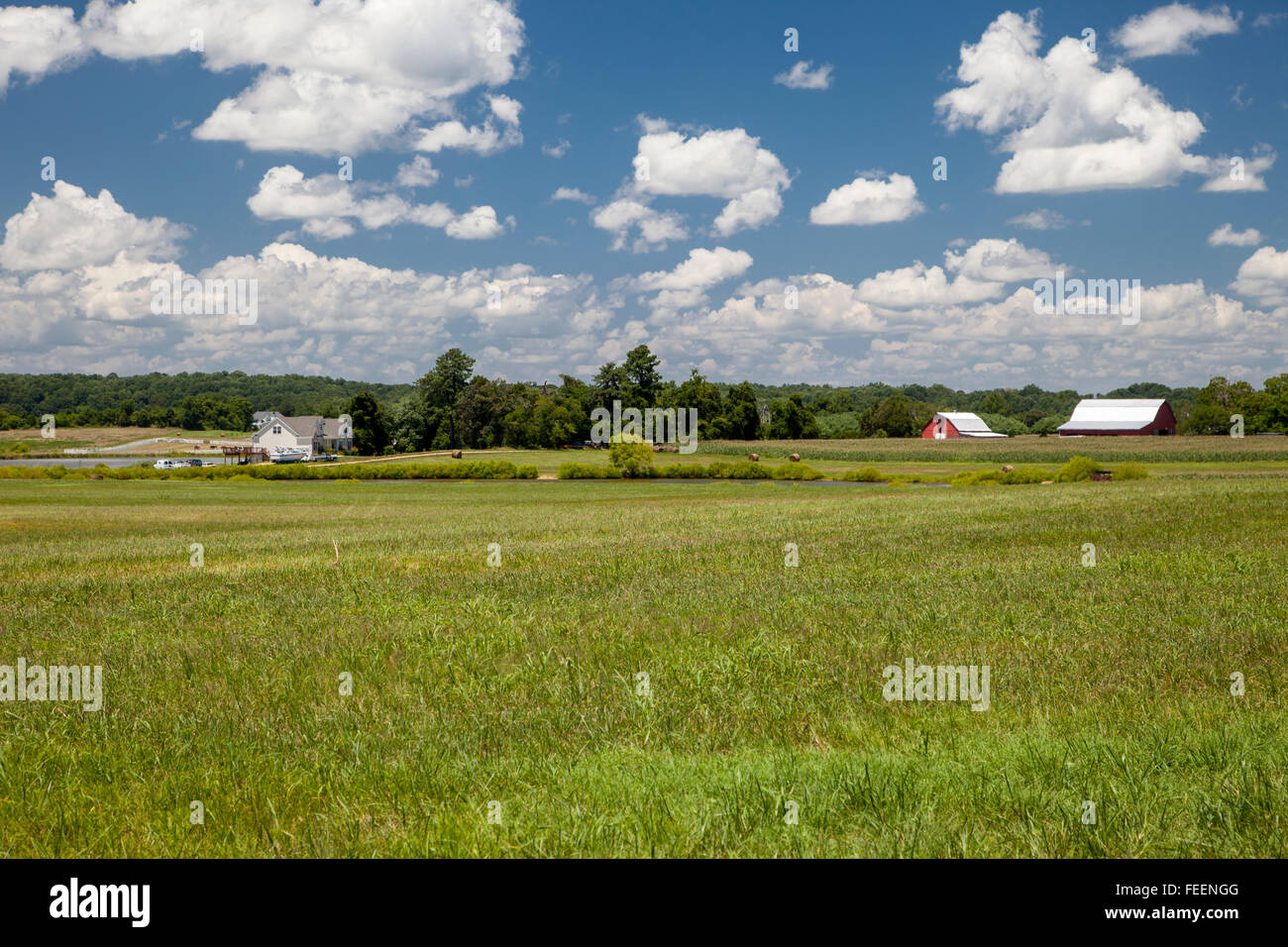 Leonardtown, Maryland, Stati Uniti d'America. Azienda agricola. Foto Stock