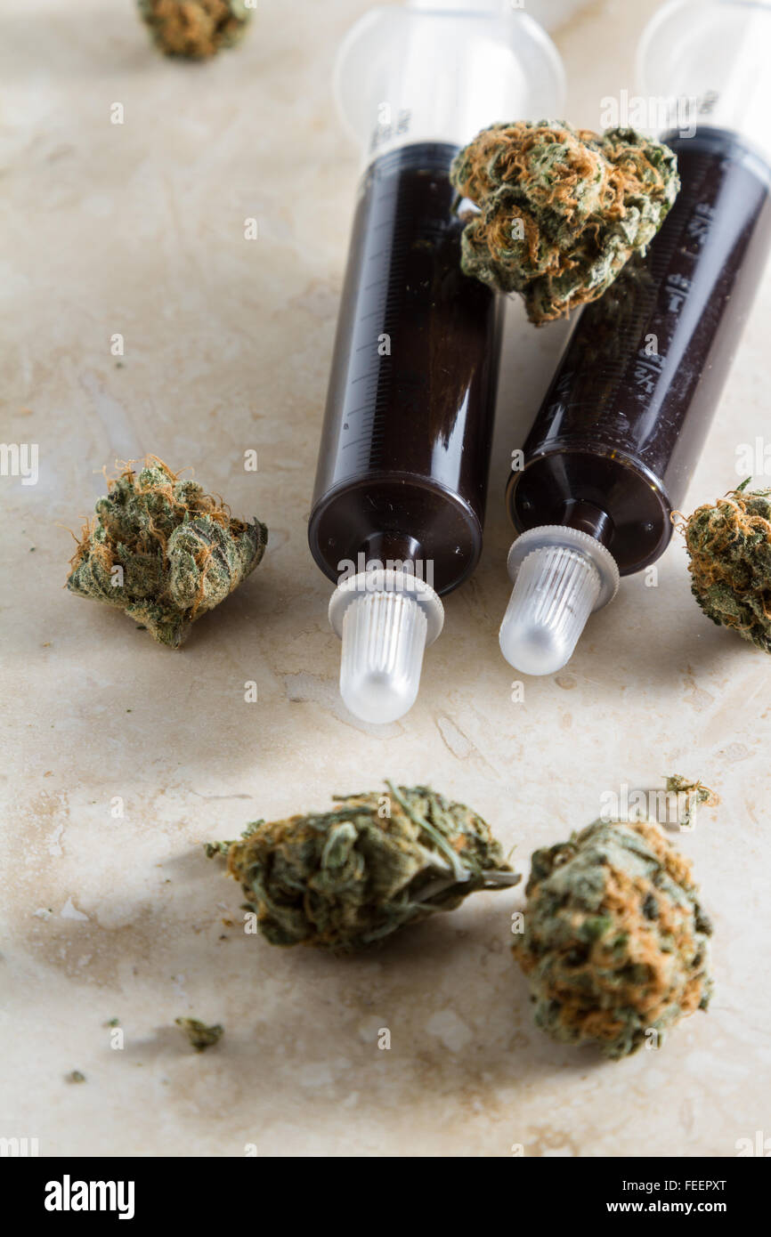 Close up di un olio costituito da olio essenziale della cannabis pianta della canapa con boccioli accanto e intorno la siringa Foto Stock