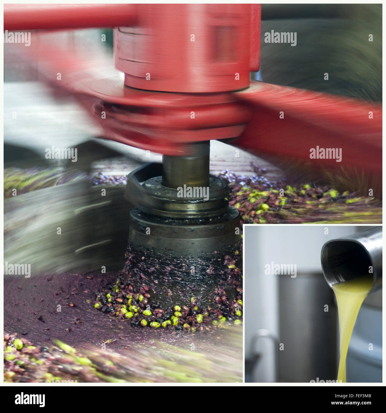 Olio d'oliva tradizionale mulino di pressatura in produzione Foto Stock
