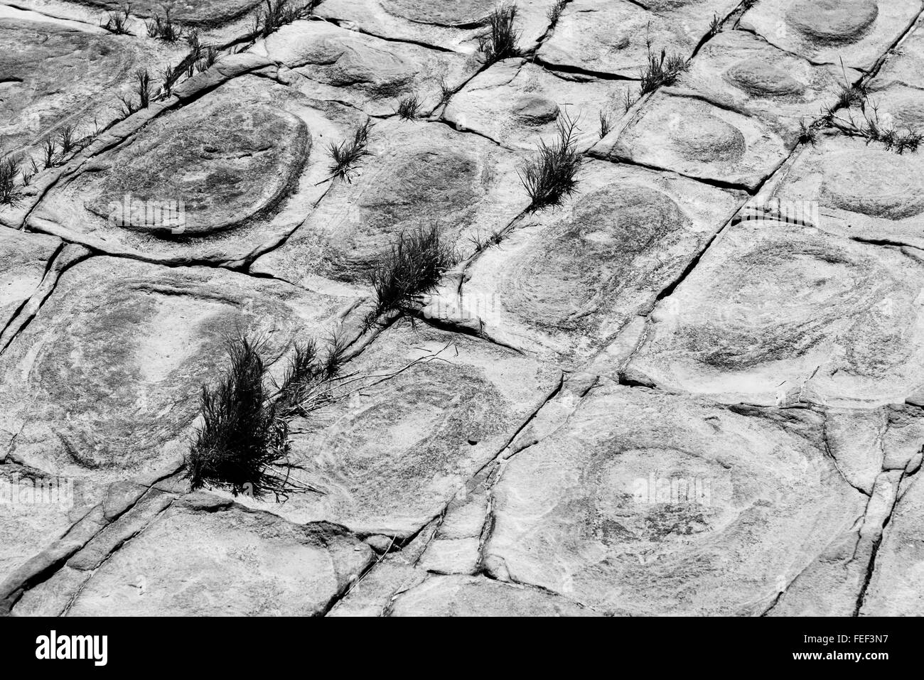 Australian rock formazione sfondo, texture di pietra arenaria con tracce di ferro in australia, pietre devoniano Foto Stock