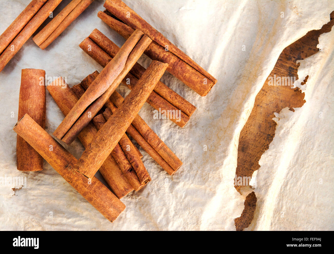 Gruppo di stecche di cannella posto sulla vecchia carta e legno per un rustico ancora vita , sala per il testo e per lo spazio di copia Foto Stock