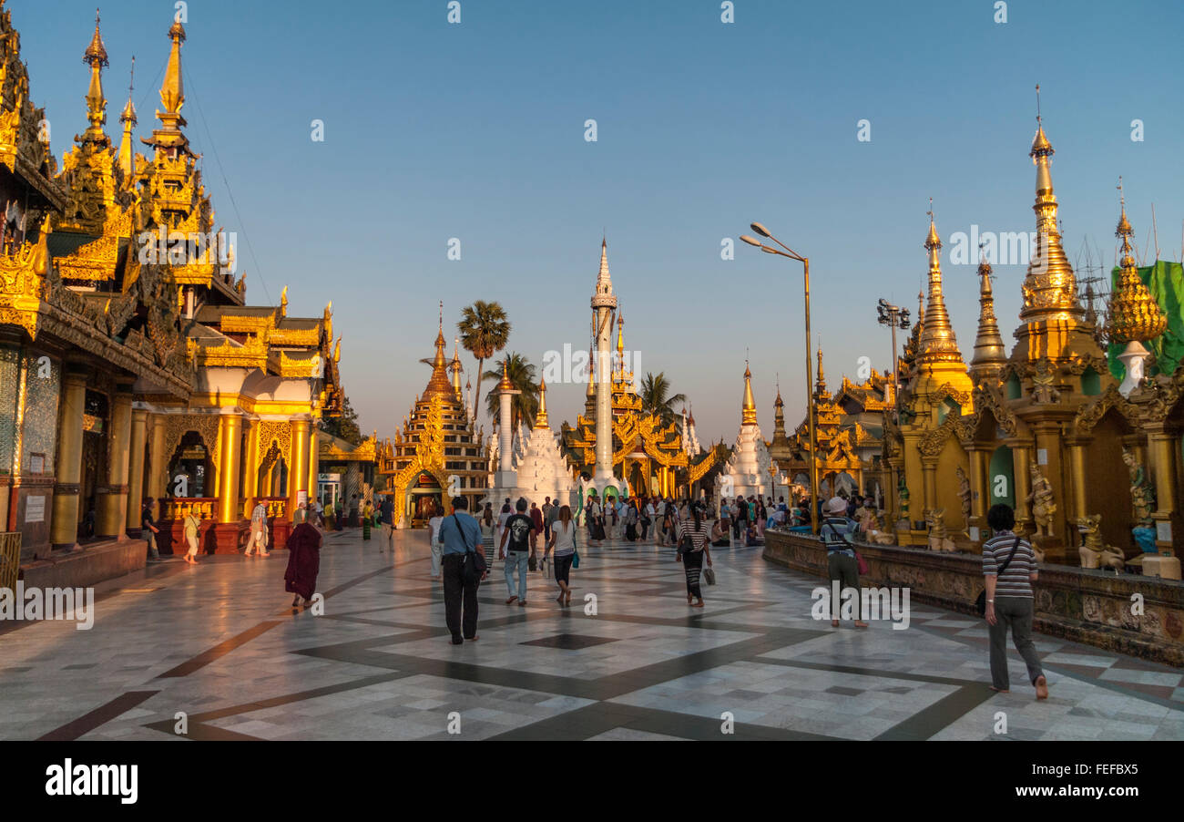 Zedi Shwedagon pagoda Daw, noti anche come Golden Pagoda o grande Dagon Pagoda. Yangon, Myanmar. Nel tardo pomeriggio. Foto Stock