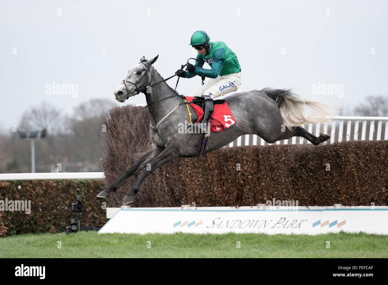 Sandown Park, Esher, Surrey, Regno Unito del 6 febbraio 2016 Bristol de Mai e Daryl Giacobbe vincere il grado 1 Betfred TV Isole Scilly novizi Chase a Sandown Park Credit: Michael Stevens/ Alamy News Foto Stock