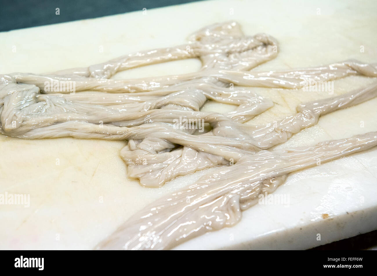 Materie di midollo osseo tirato da ossa lunghe su un bancone in una macelleria Foto Stock