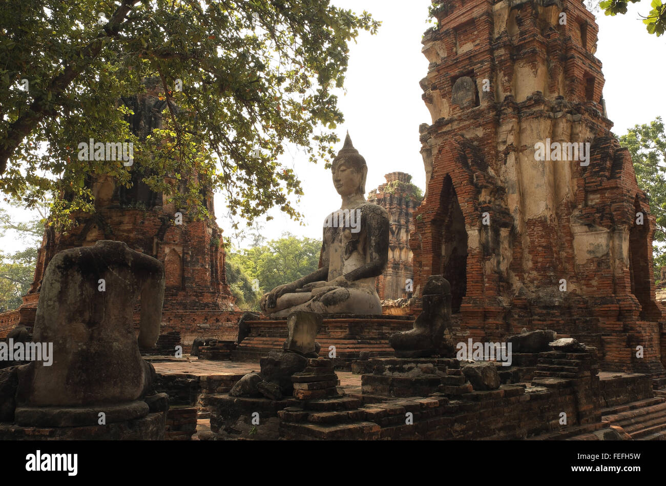 Statua di Budda seduto tra le rovine di Wat Phra Mahathat, Ayutthaya, Thailandia, in Asia. Foto Stock