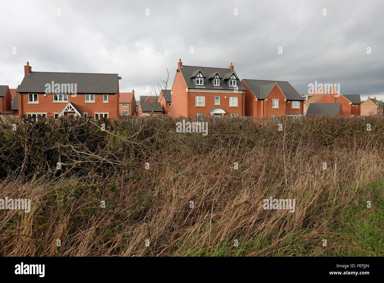 Nuovo alloggiamento essendo costruito in loughborough leicestershire Foto Stock