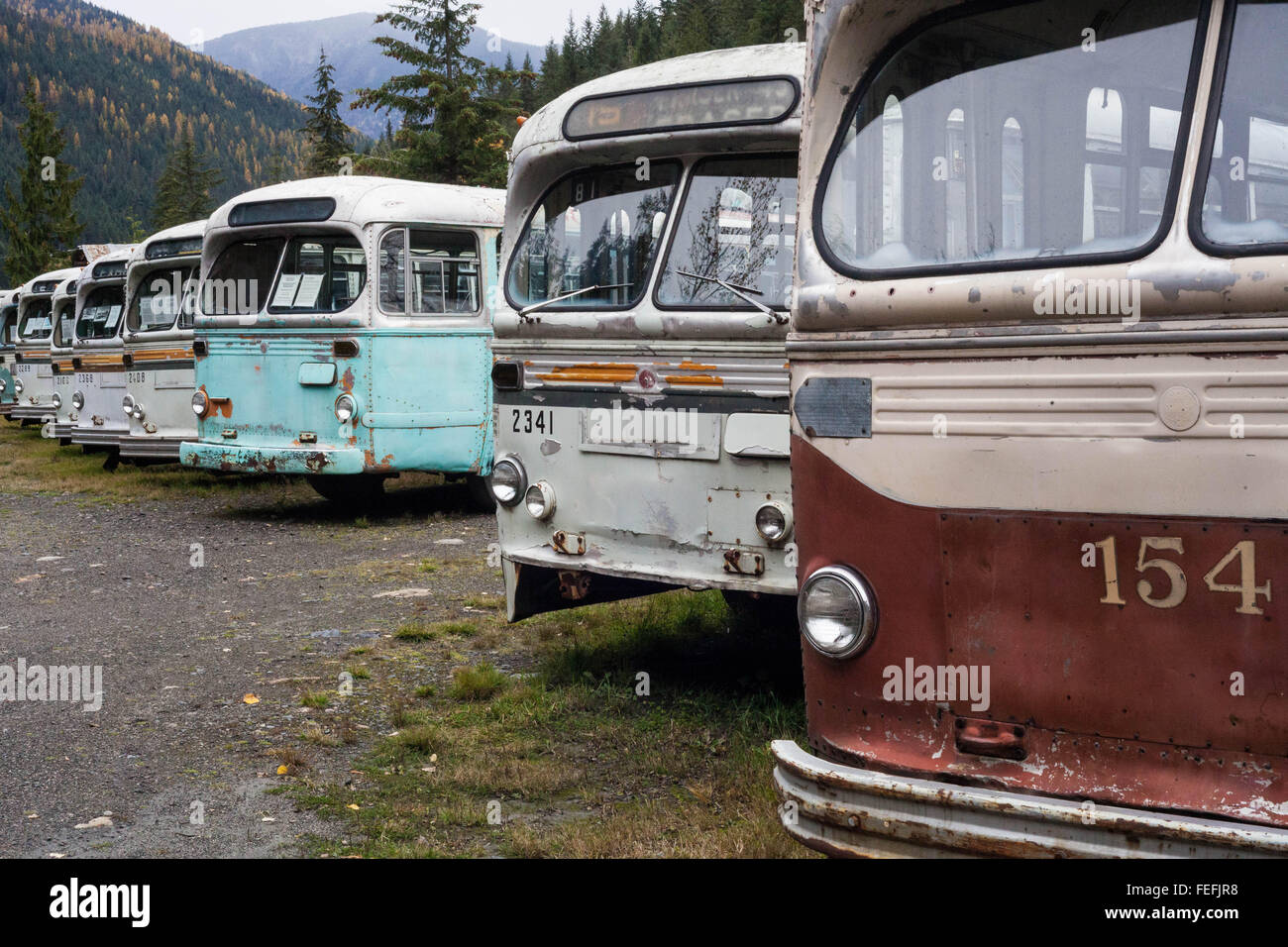 Brill storico Filobus sit abbandonati, età al di là della necessità di riparazione, Sandon British Columbia, in attesa per i turisti Foto Stock